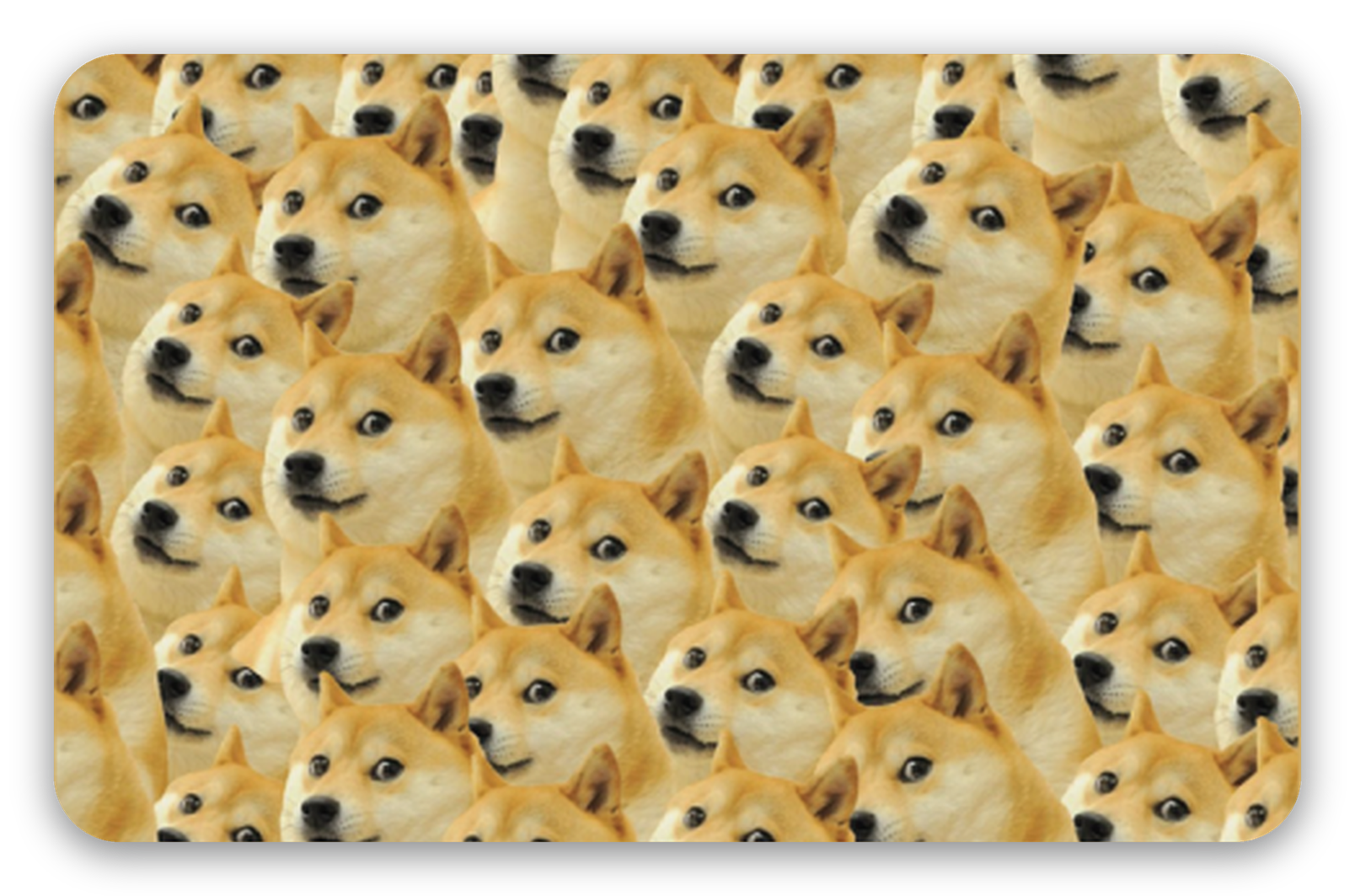 Doge - naklejka na kartę