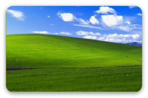 XP - naklejka na kartę