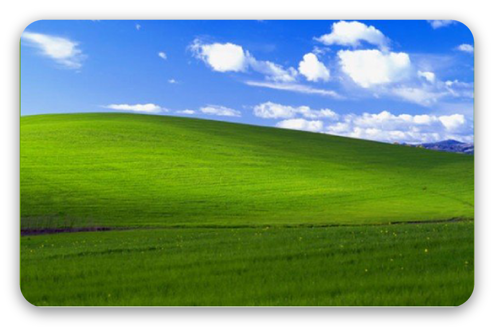 XP - naklejka na kartę