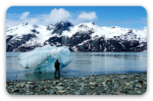 Glacier Bay - naklejka na kartę