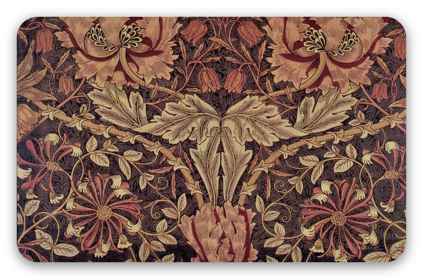 Wiciokrzew - naklejka na kartę