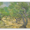Drzewa oliwne - naklejka na kartę