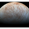 Europa - naklejka na kartę