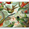 Kolibry (Haeckel) - naklejka na kartę