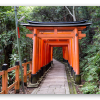 Bramy torii w Kioto - naklejka na kartę