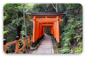 Bramy torii w Kioto - naklejka na kartę