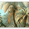 Haeckel Filicinae 92 - naklejka na kartę